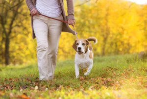 Person running or walking with their dog on a leash in the fall.