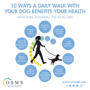 benefits of walking